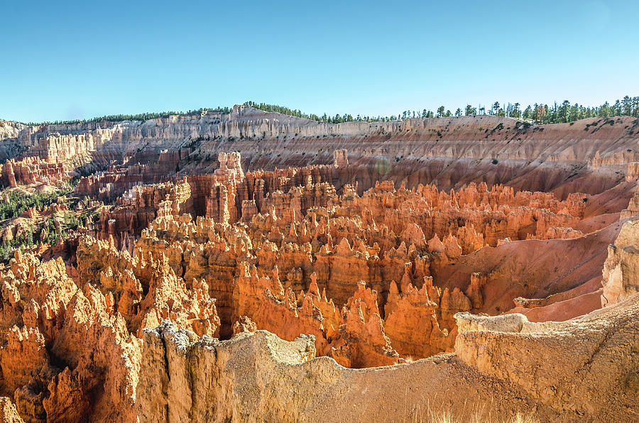 Bryce Canyon Formations Photograph by Margaret Pitcher