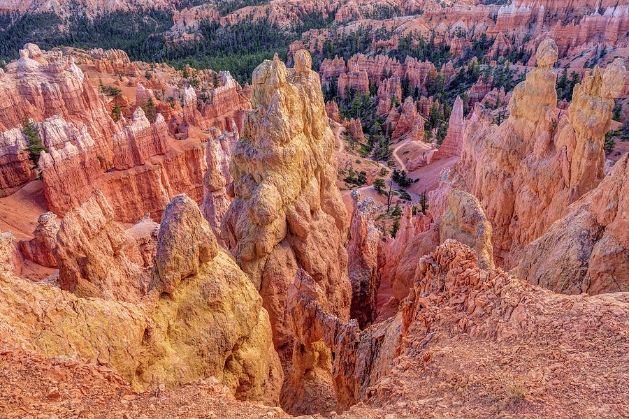Bryce Canyon Hoodoo Landscape Photograph by Pierre Leclerc Photography