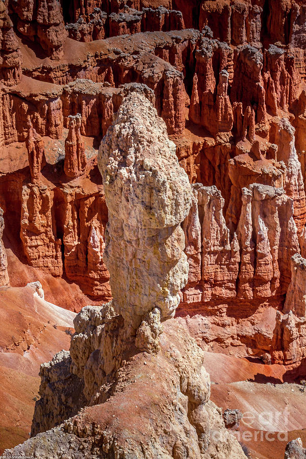 Bryce Canyon Hoodoo Photograph