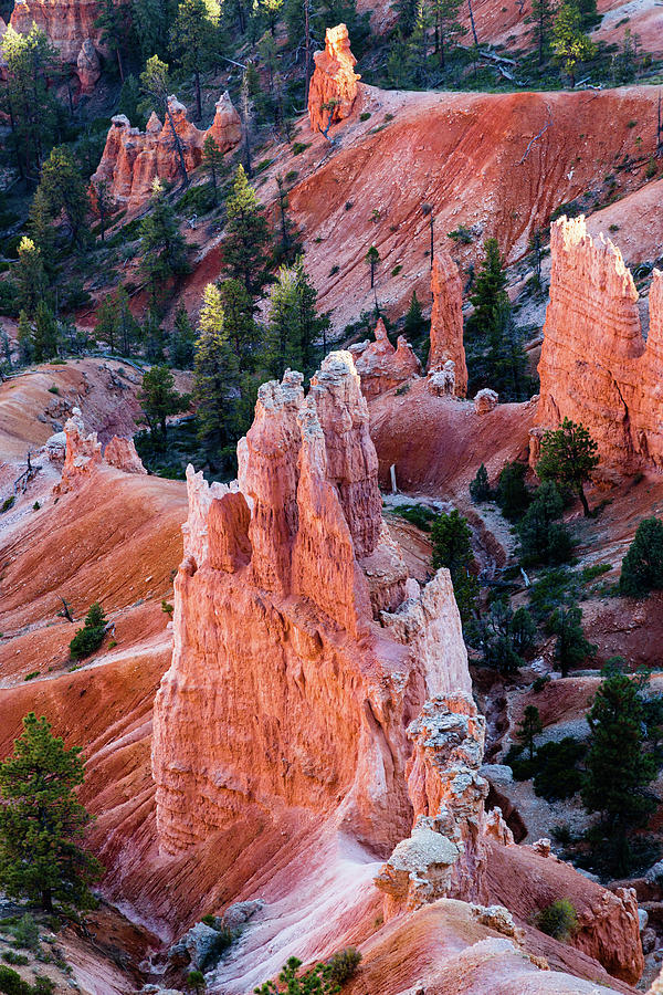 Bryce Canyon Hoodoo Portrait Photograph by Andrew Pacheco