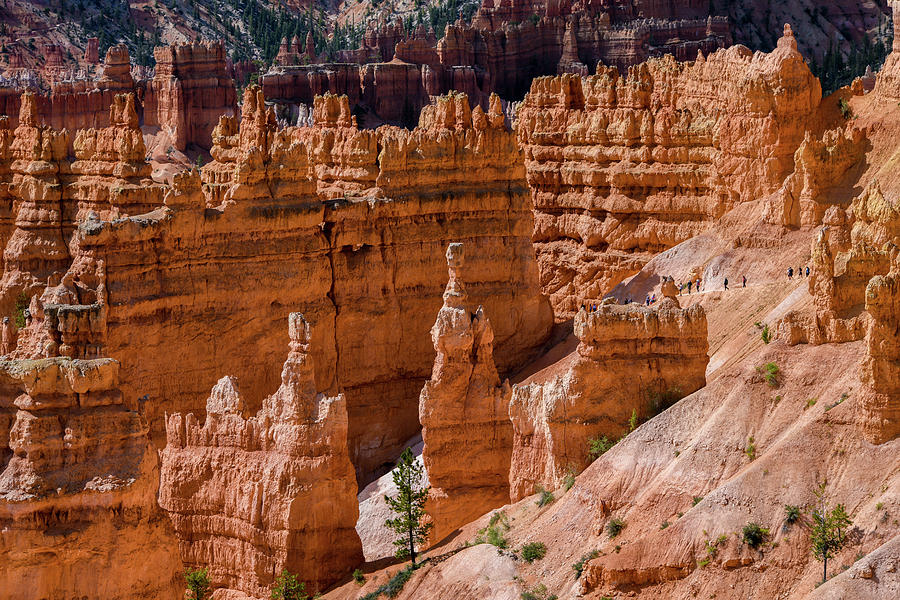 Bryce Canyon Hoodoos 2 Photograph by Anthony Sacco Bryce Canyon Hoodoos 2 Photograph by Anthony Sacco