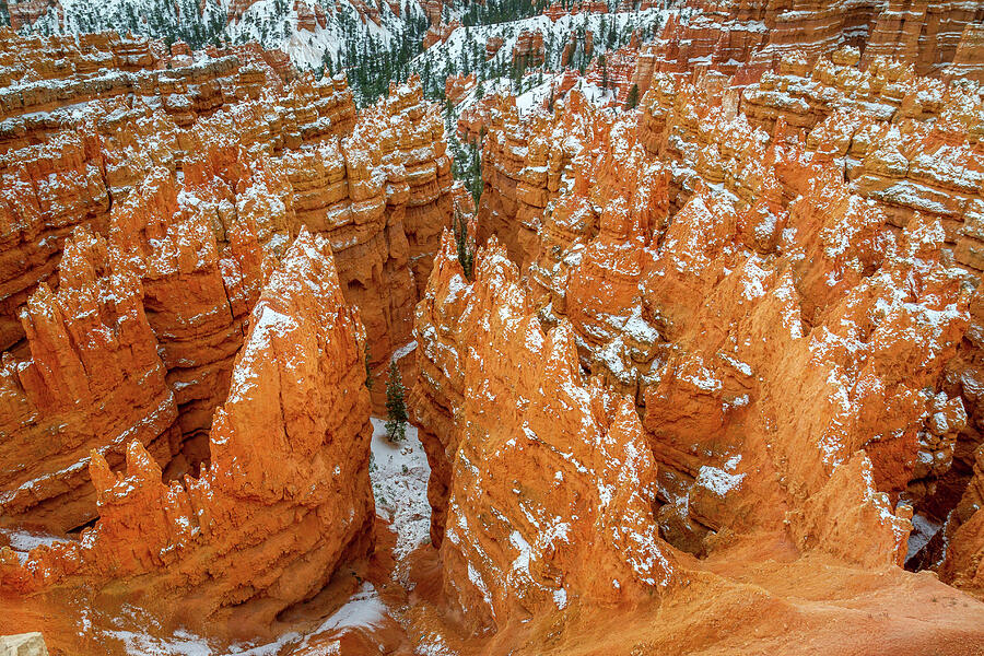 Bryce Canyon Hoodoos Photograph by Pierre Leclerc Photography