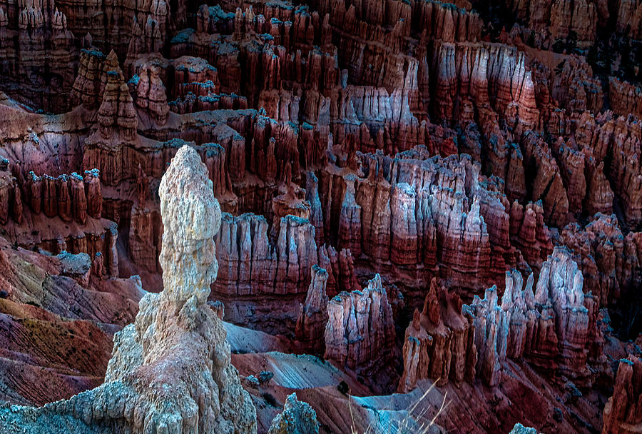 Bryce Canyon Photograph - Bryce Canyon in Late Fall by Paul Malen Bryce Canyon Photograph - Bryce Canyon in Late Fall by Paul Malen