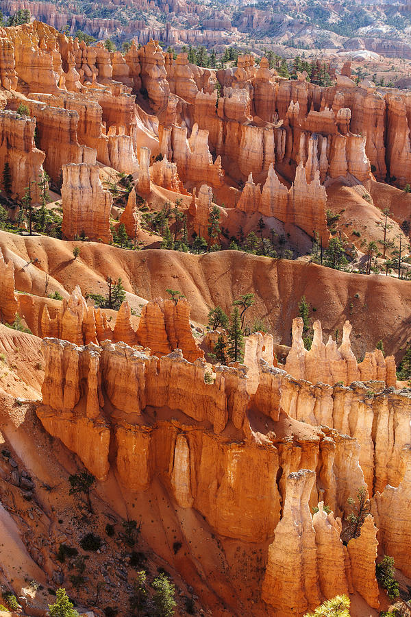 Bryce Canyon in Utah Photograph by Efenzi