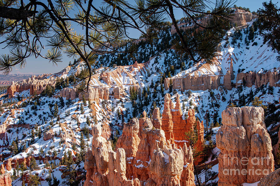 Bryce Canyon Landscape Five Photograph by Bob Phillips