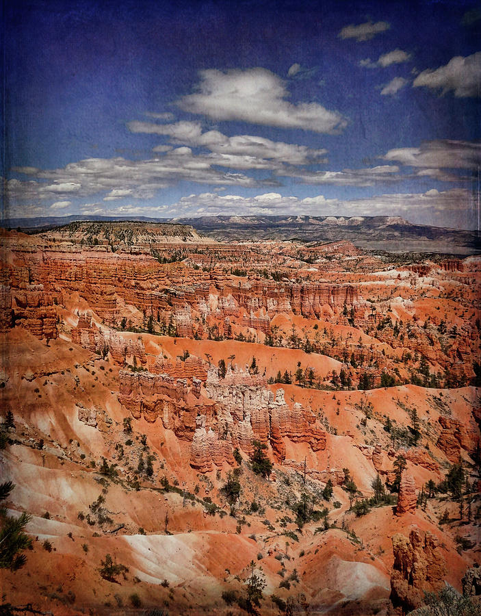 Bryce Canyon Landscape Textured Photograph by Dan Sproul