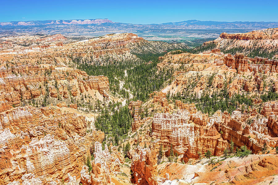 Bryce Canyon National Park Photograph - Bryce Canyon by Marla Brown