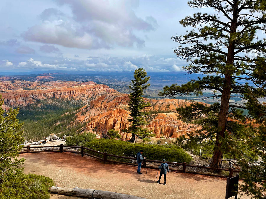 Bryce Canyon National Park 2 Mixed Media by Sandi OReilly