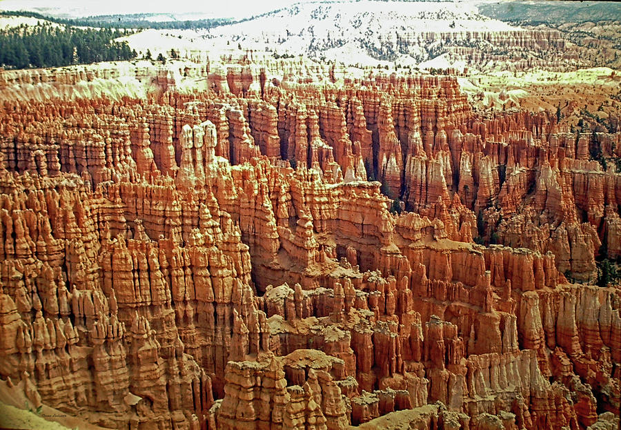 Bryce Canyon National Park 3 Photograph by Thomas Woolworth