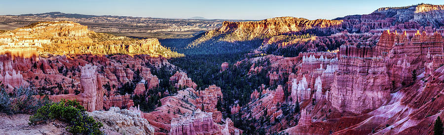 Bryce Canyon National Park Photograph by Andrew Pacheco