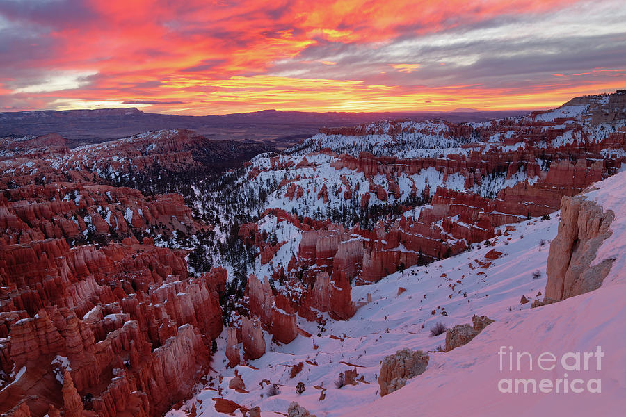 Bryce Canyon National Park at Sunrise in Winter Photograph by Tom Schwabel