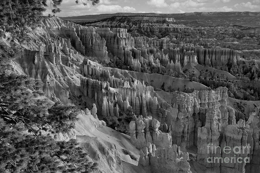 Bryce Canyon National Park BW I Photograph by Chuck Kuhn