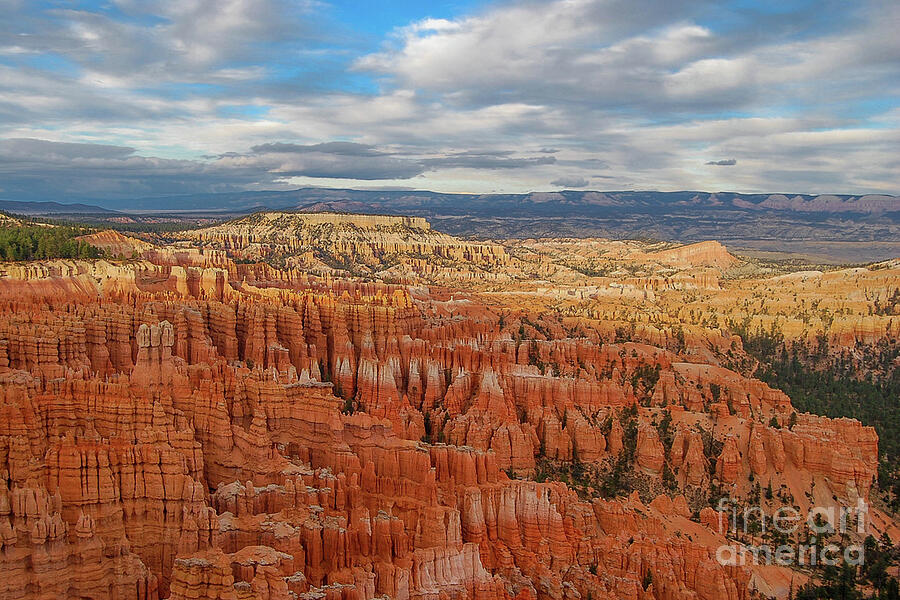 Bryce Canyon National Park Photograph by Catherine Sherman
