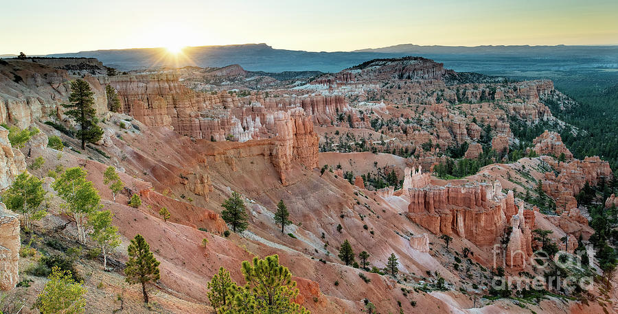 Bryce Canyon National Park  Photograph by David Oppenheimer