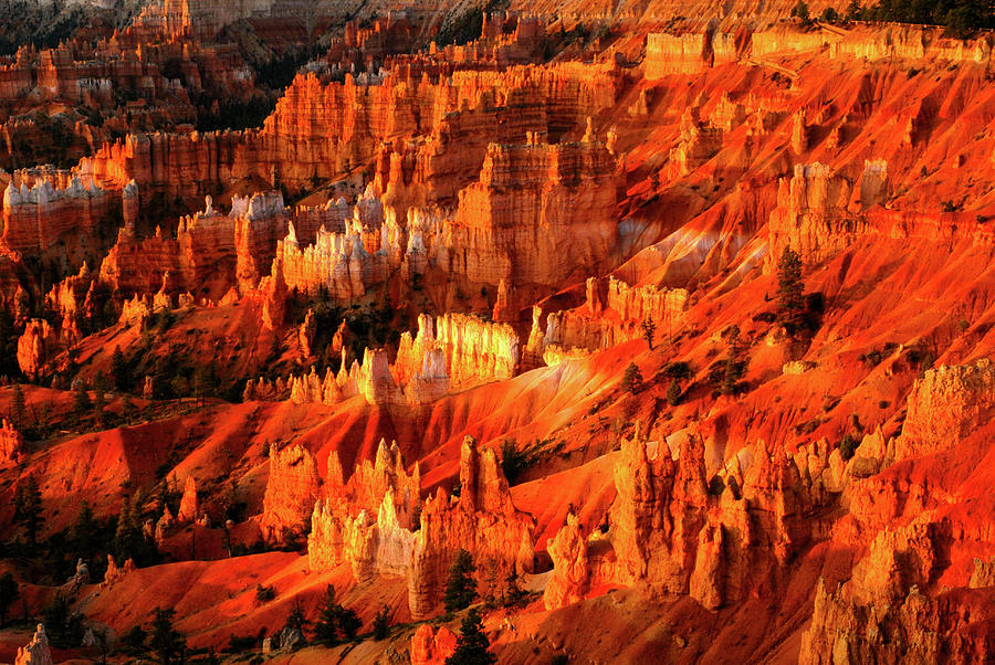 Fire Dance - Bryce Canyon National Park. Utah Photograph by Earth And Spirit