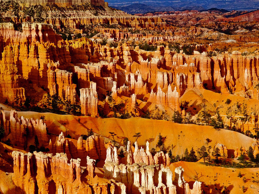 Bryce Canyon National Park Photograph by Geoff McGilvray
