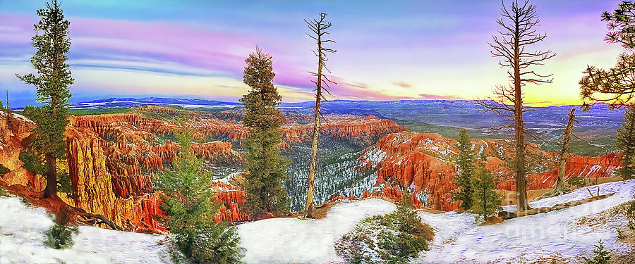 Bryce Canyon National Park, Grand View, Utah Photograph by Don Schimmel