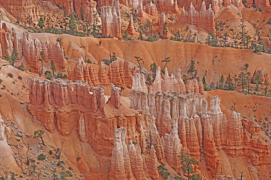 Bryce Canyon National Park - Hoodoos Closeup  Photograph by Yvonne Jasinski