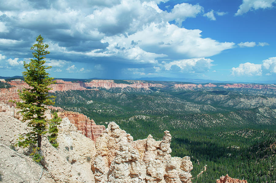 Bryce Canyon National Park Photograph by Kyle Hanson
