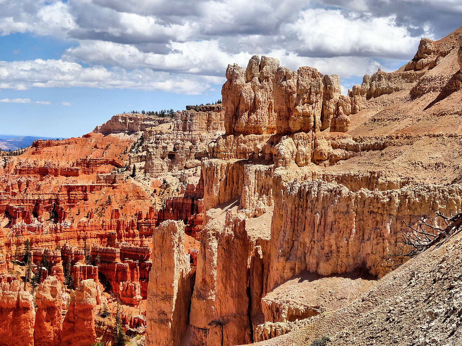 Bryce Canyon National Park Landscape Photograph by Dan Sproul