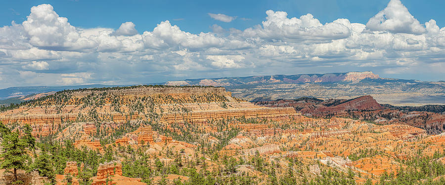 Bryce Canyon National Park Photograph by Morris Finkelstein