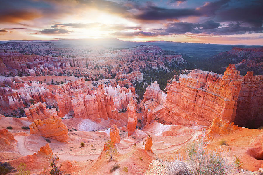 Bryce Canyon National Park Photograph by Nico De Pasquale Photography