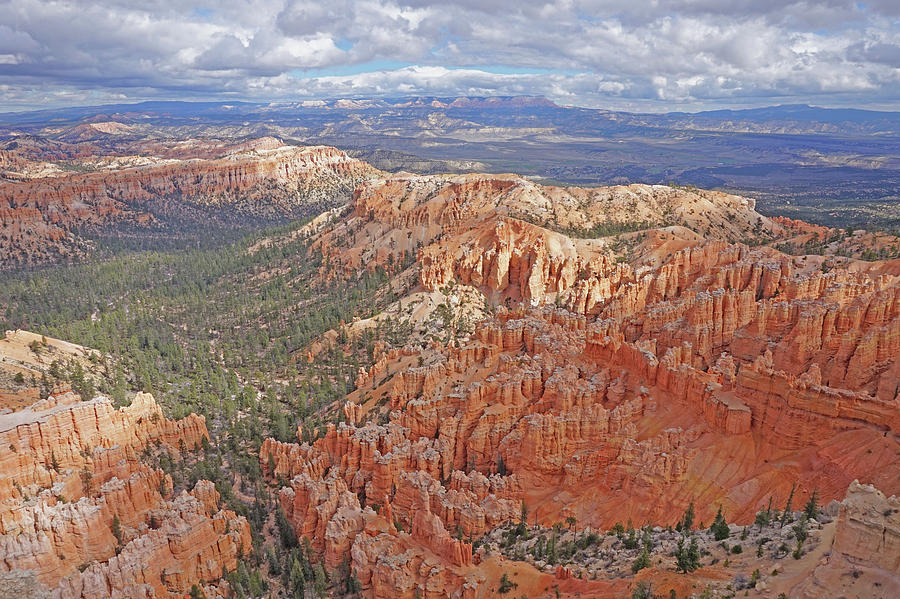 Bryce Canyon National Park - Panorama  Photograph by Yvonne Jasinski