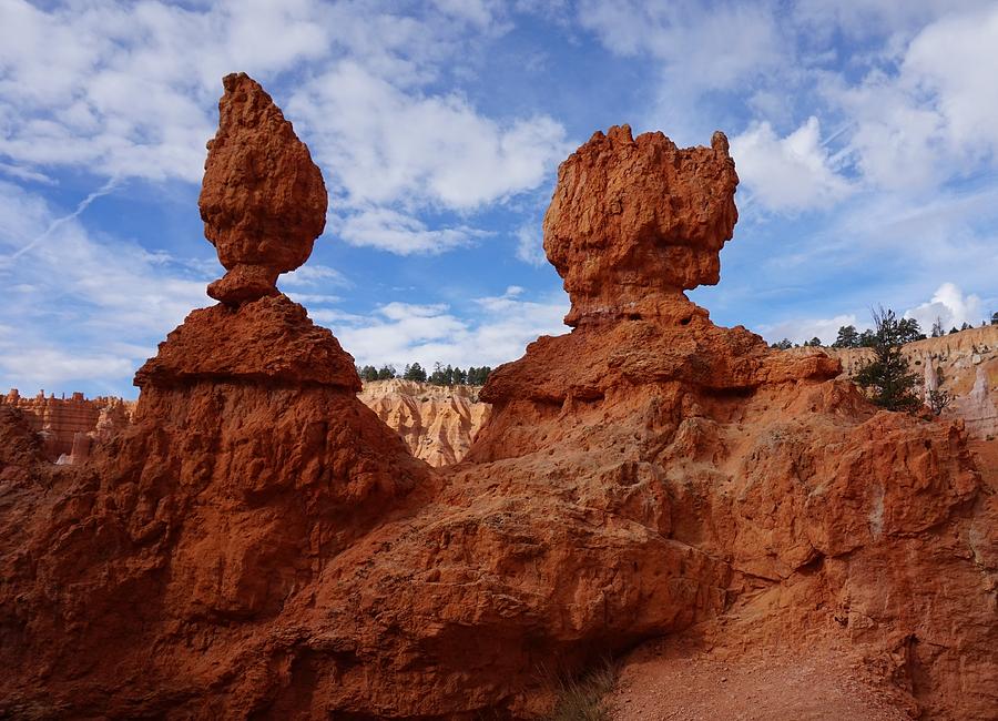 Bryce Canyon National Park Two Hoodoos Photograph by Yvonne Jasinski Bryce Canyon National Park Two Hoodoos Photograph by Yvonne Jasinski