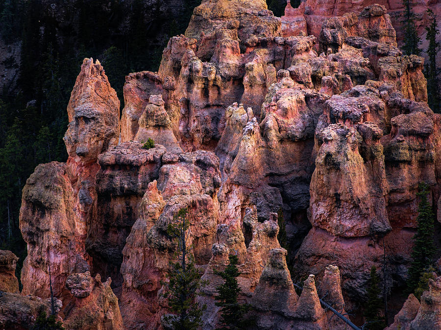 Bryce Canyon NP XI Color Photograph by David Gordon