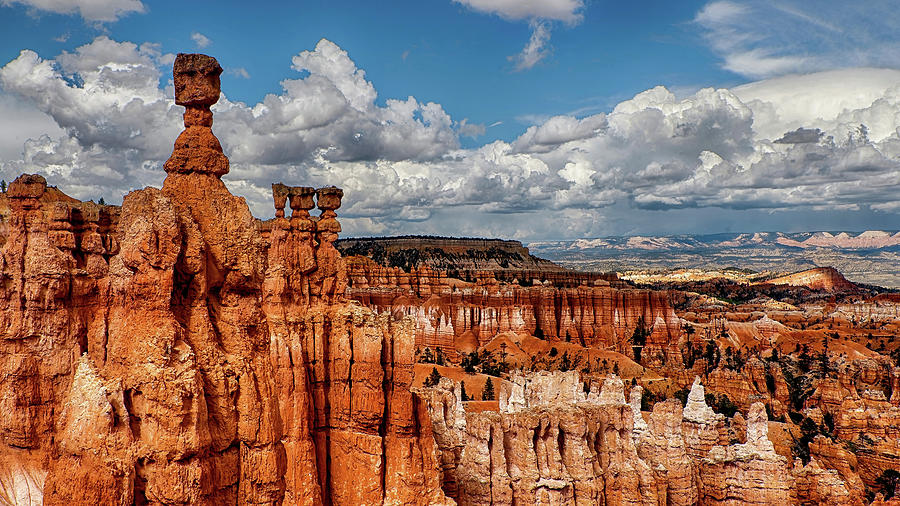 Bryce Canyon on a Beautiful Day Photograph by David Soldano
