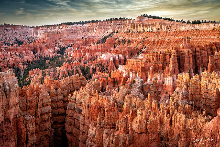 Bryce Canyon Overlook Photograph by Gary Johnson