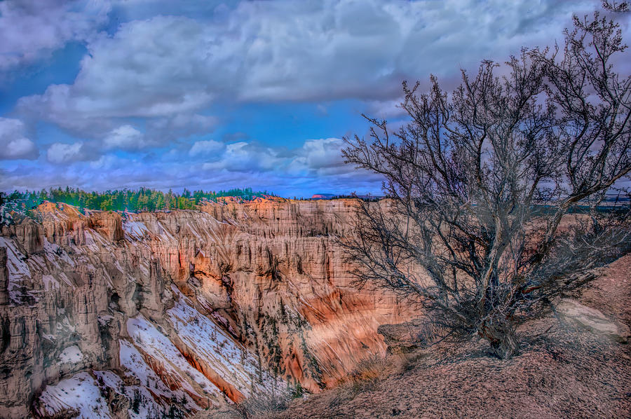 Bryce Canyon Overlook Photograph