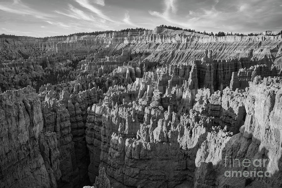 Bryce Canyon Pano BW  Photograph by Chuck Kuhn