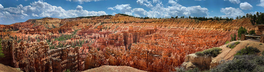 Bryce Canyon Panorama Photograph by Rebecca Herranen