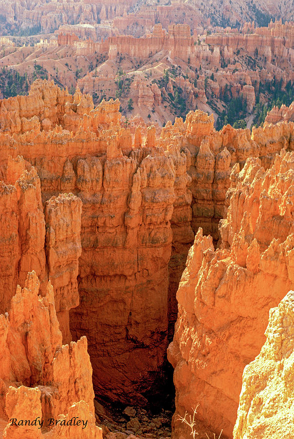 Bryce Canyon  Photograph by Randy Bradley