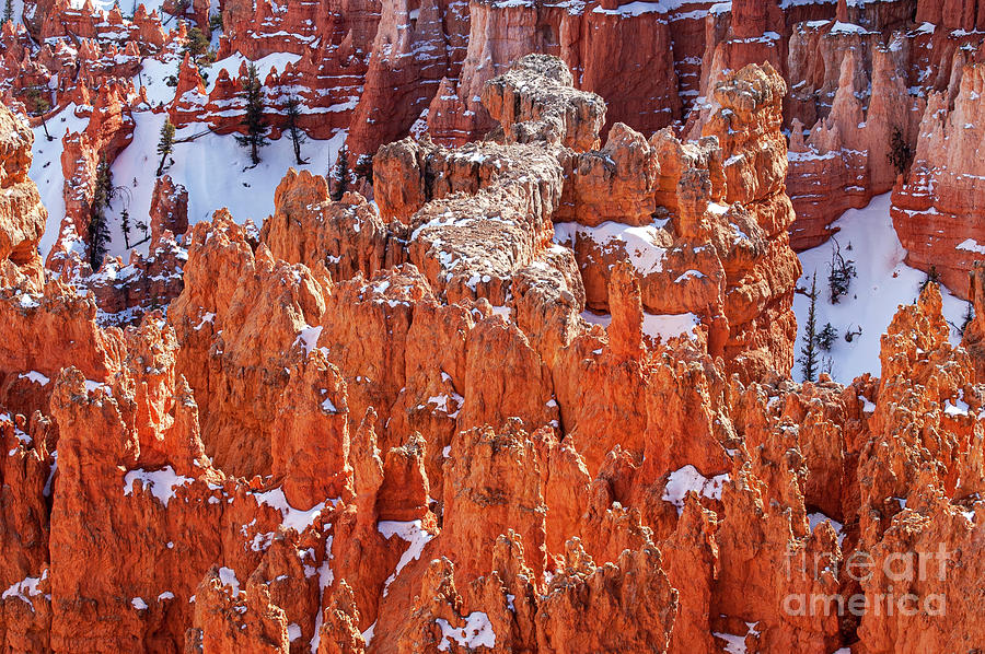 Bryce Canyon Red Rock in the Snow Two Photograph by Bob Phillips