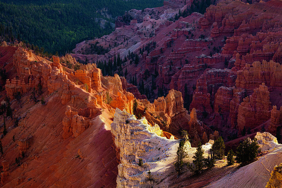 Bryce Canyon Utah Rim Light Photograph by John A Rodriguez Bryce Canyon Utah Rim Light Photograph by John A Rodriguez