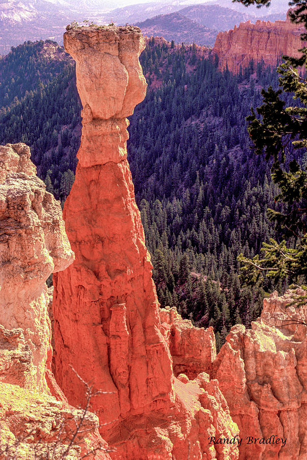 Bryce Canyon Rock Tower  Photograph by Randy Bradley