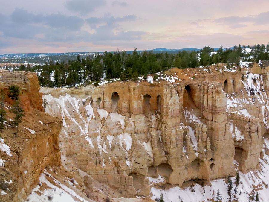 Bryce Canyon Series #13 Photograph by Patti Deters