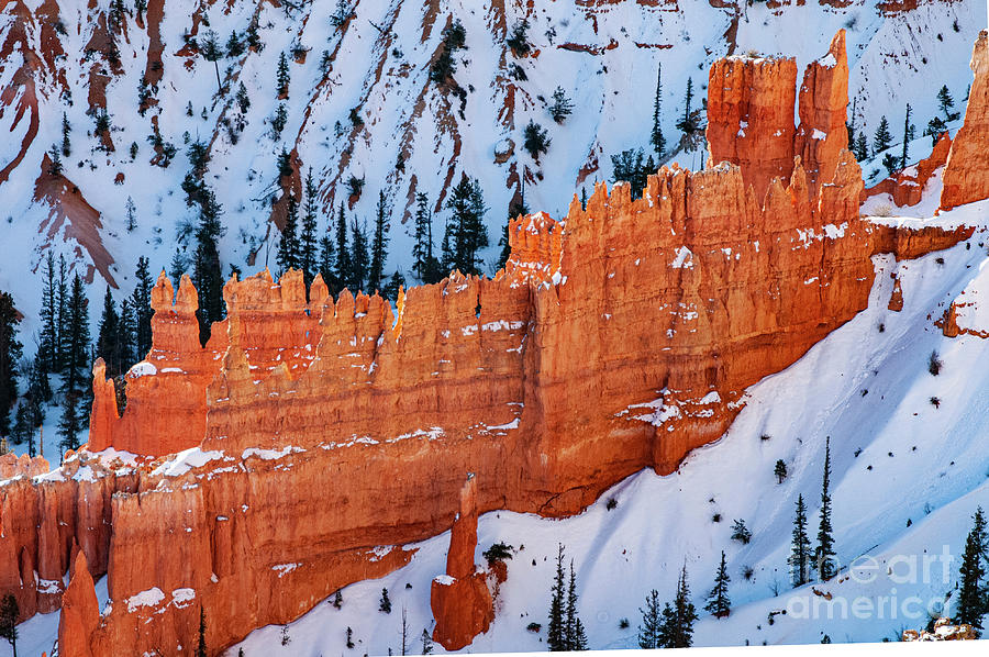 Bryce Canyon Snowscape Four Photograph by Bob Phillips