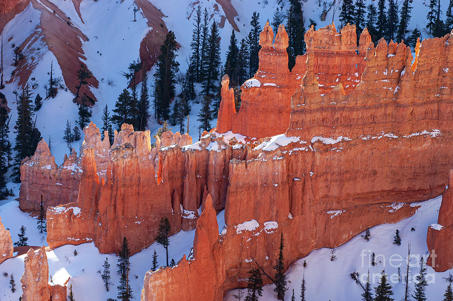 Bryce Canyon Snowscape Three Photograph by Bob Phillips