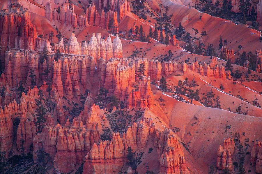 Nature Photograph - Bryce Canyon Softly Lit Spires by Mike Reid