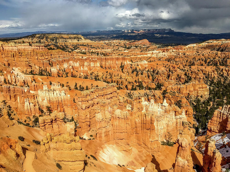 Bryce Canyon Spring 2020-3 Photograph by Randy Straka - Fine Art America