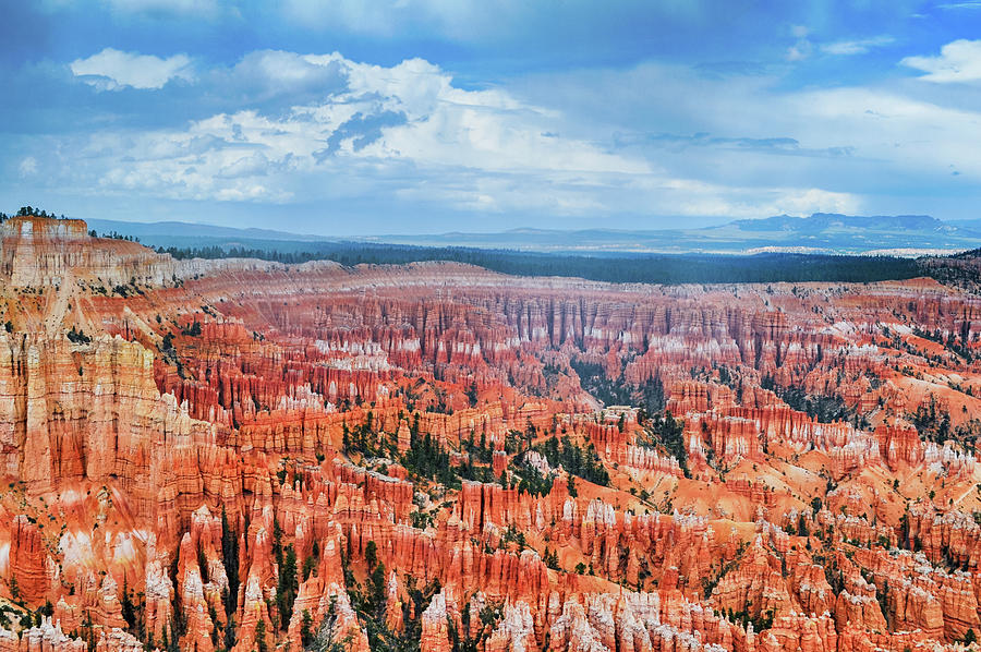 Bryce Canyon Summer Storm Photograph by Kyle Hanson