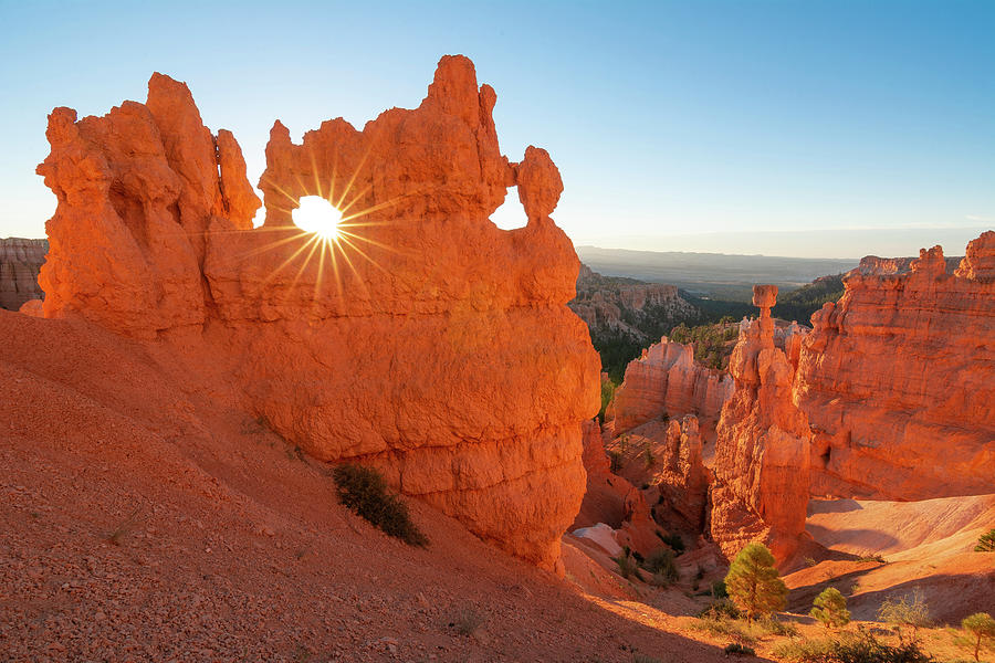 Bryce Canyon Sunburst Photograph by Aaron Spong