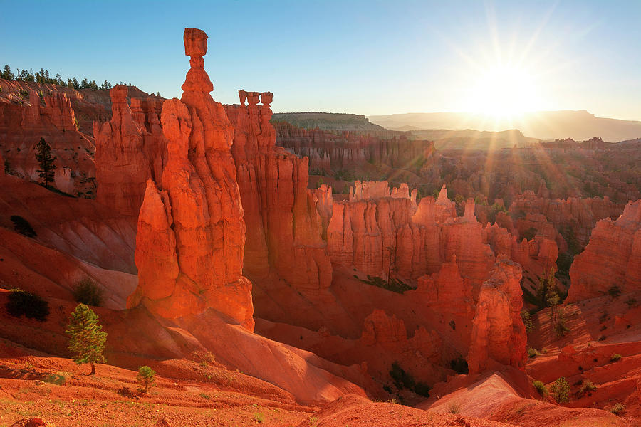 Bryce Canyon Sunrise  Photograph by Aaron Spong