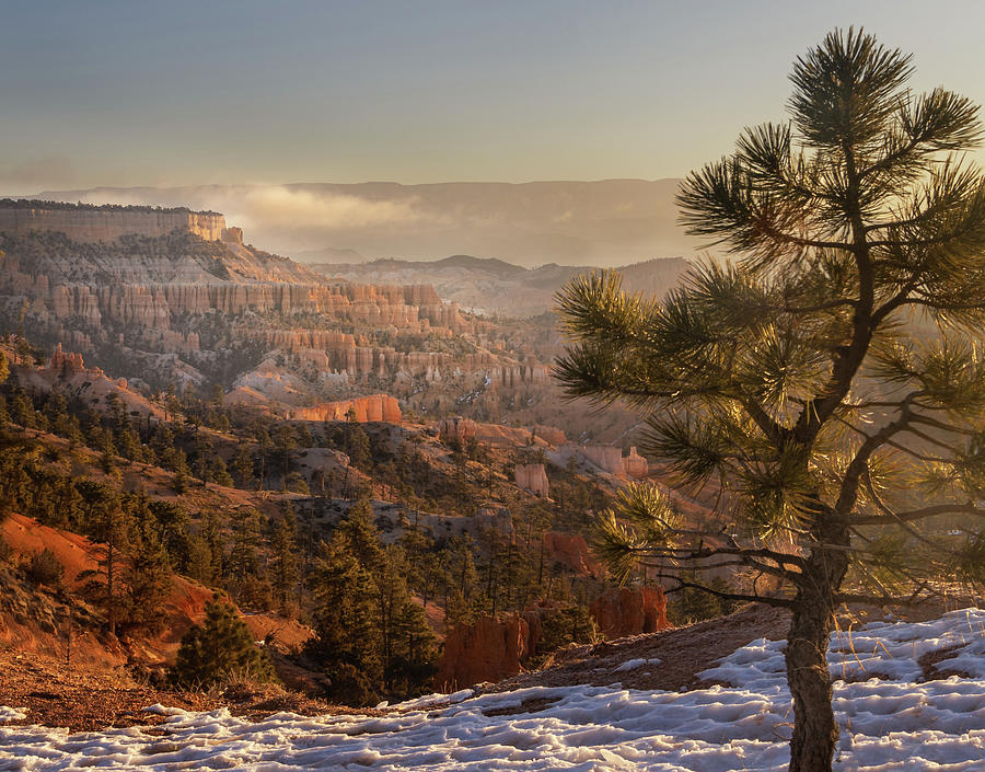 Bryce Canyon Sunrise Photograph by James Woody