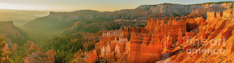 Bryce canyon sunrise, panorama Photograph by Hanna Tor