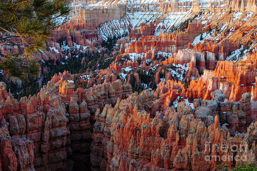 Bryce Canyon Sunset Point as the Sun Rises Photograph by Bob Phillips
