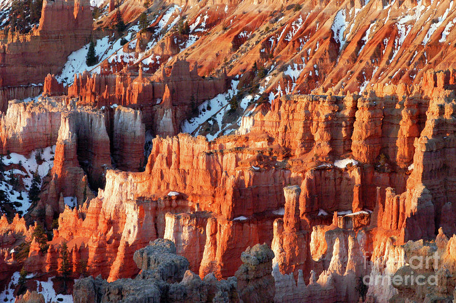 Bryce Canyon Sunset Point at Sunrise Photograph by Bob Phillips